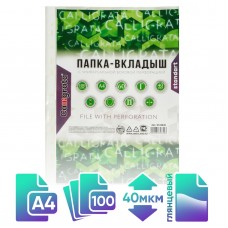 Файл - вкладыш Calligrata, А4, 40 мкм, глянцевый, вертикальный, 100 штук